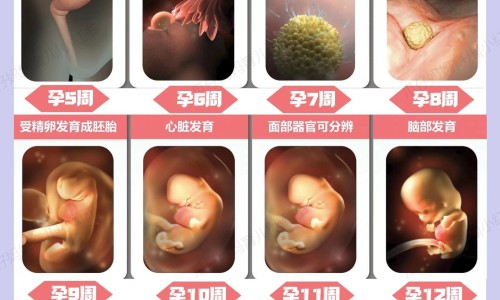 小儿咳嗽糖浆用药几天网 - 小儿咳嗽糖浆用药几天有效果,小儿咳嗽糖浆吃几天