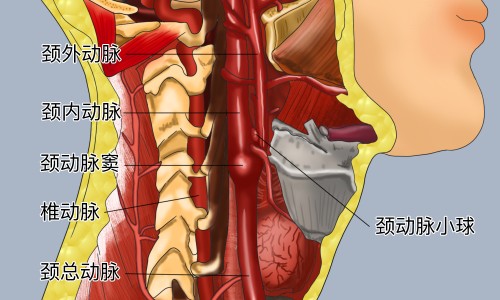小儿咳嗽糖浆用量-小儿咳嗽糖浆用药几天网 - 小儿咳嗽糖浆用药几天有效果,小儿咳嗽糖浆吃几天